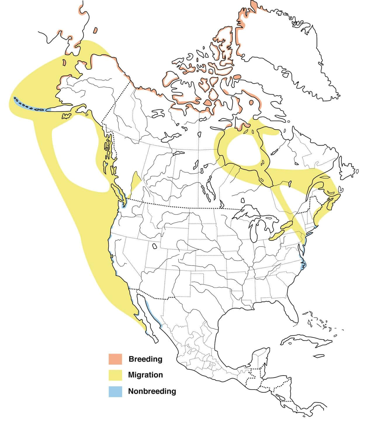 brant-migration-map.jpg